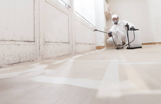 24/7 Emergency Mold Remediation experts in Reading, MA
